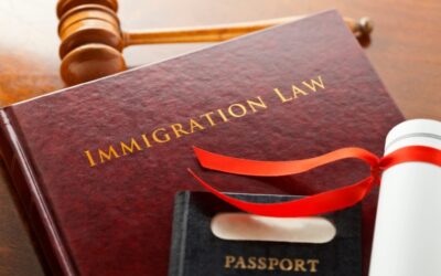 The Ultimate Guide to Navigating Immigration Law: Steps and Tips for a Successful Application