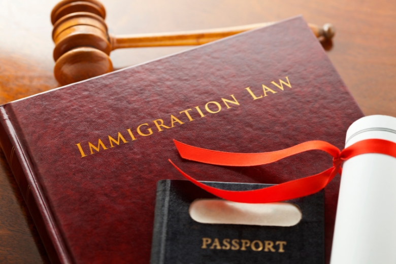 The Ultimate Guide to Navigating Immigration Law: Steps and Tips for a Successful Application